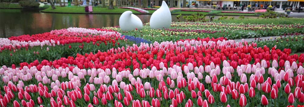Spring Gardens Holland