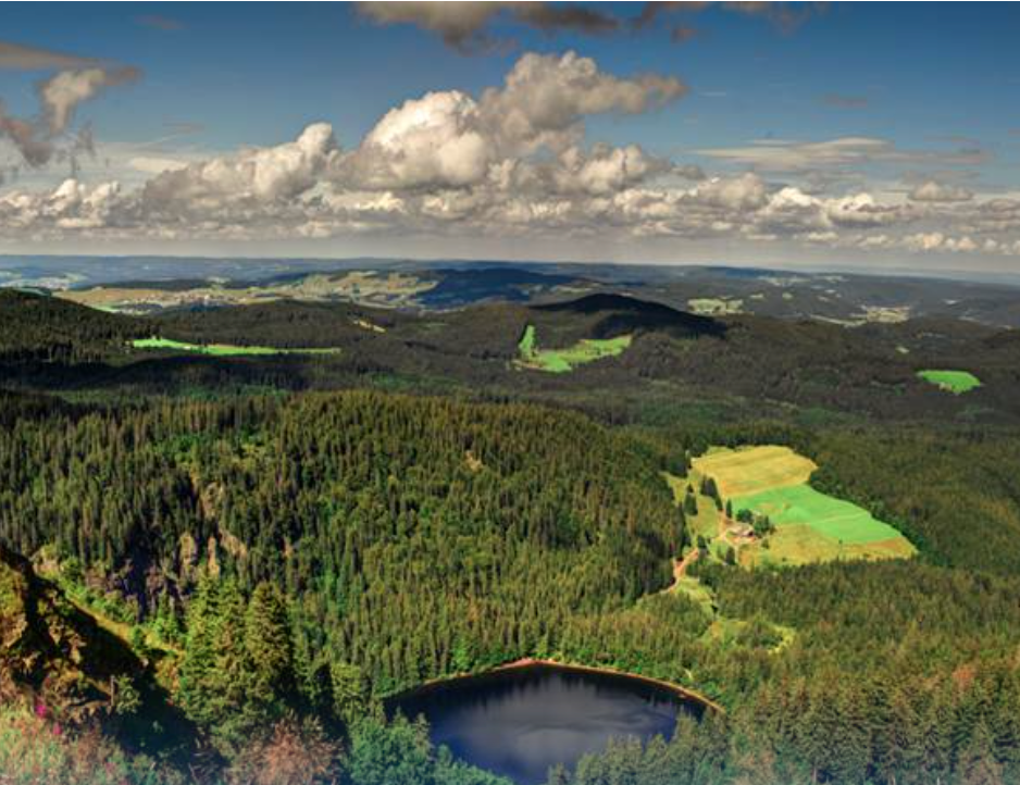 Coach holidays to The Black Forest