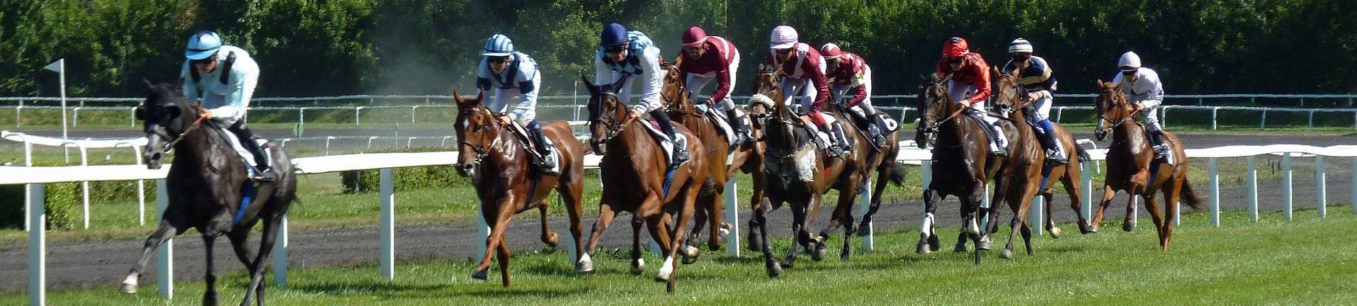 Cheltenham Gold Cup