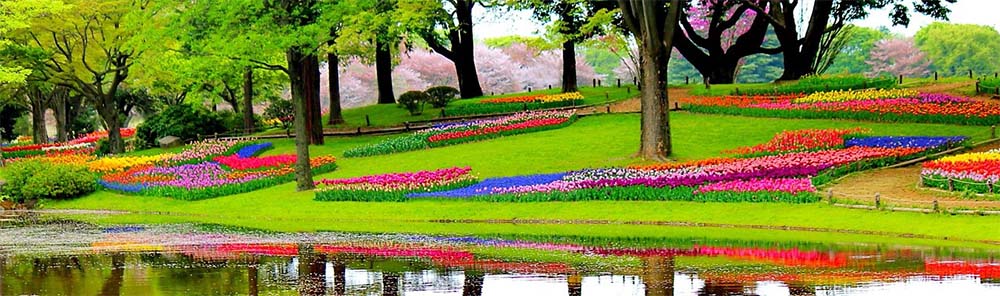 Spring Coach Holidays