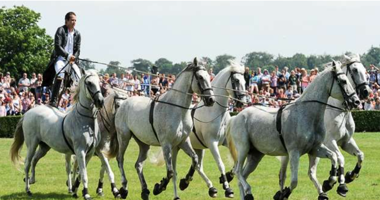 The Great Yorkshire Show