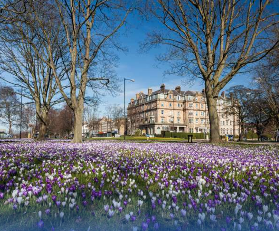 Coach holidays to Harrogate