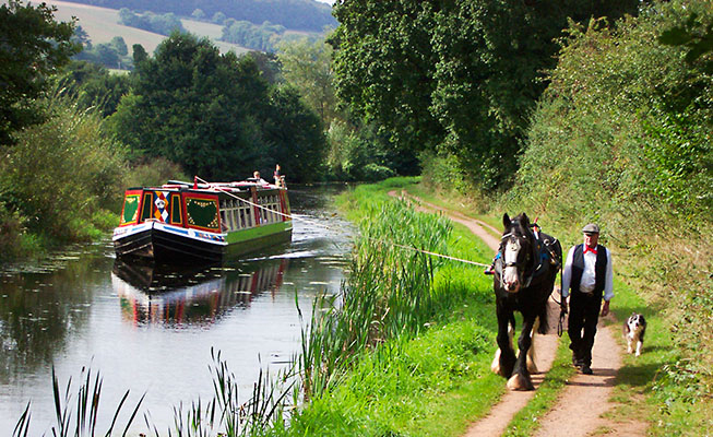 Ilfracombe, Horse Drawn Cruise & RHS Garden Rosemoor