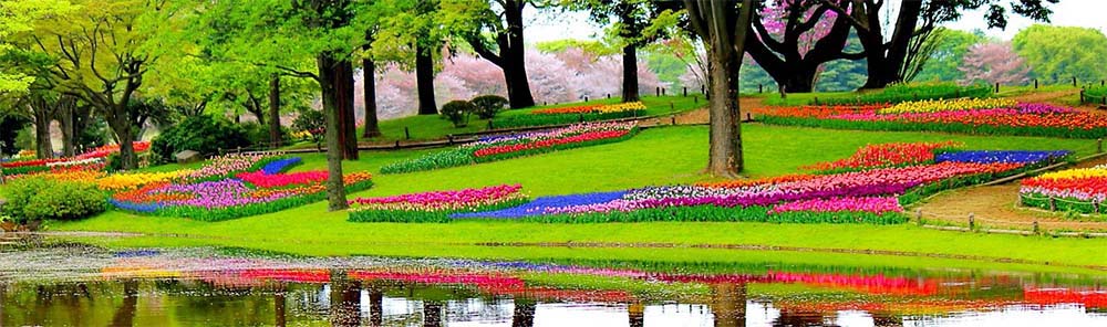 Keukenhof Gardens Coach Breaks