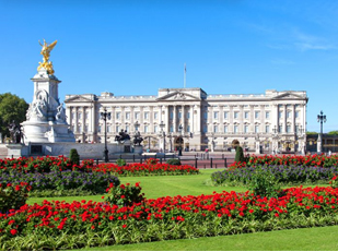 Buckingham Palace & a Night on the Town