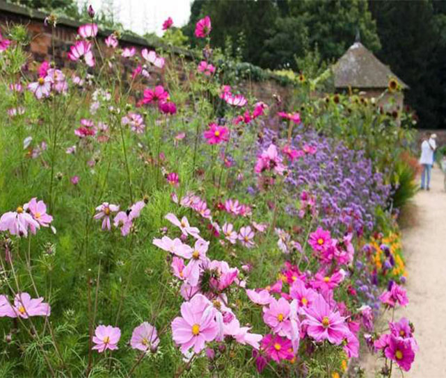 RHS Tatton Park Flower Show & Bridgewater Gardens